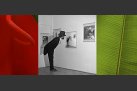 Master Class - Curs de perfecționare in Fotografie