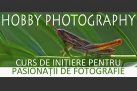 Curs de Inițiere în Fotografie la Iași – 21 aprilie/2 iunie 2012